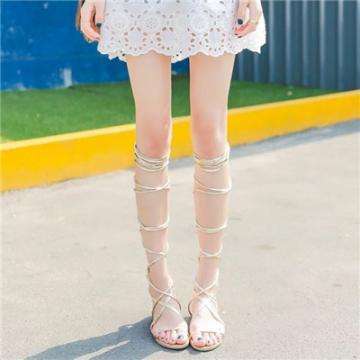 风云体育官方APP